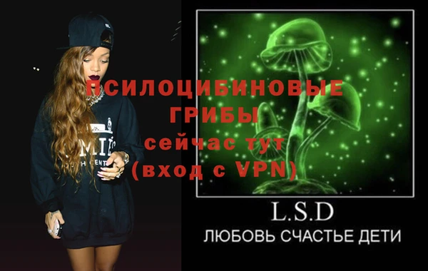 сатива Касимов