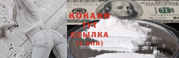 сатива Касимов