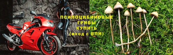сатива Касимов