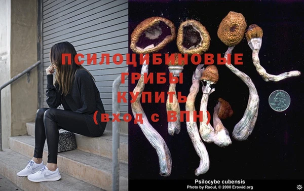 сатива Касимов