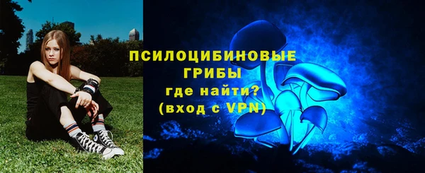 сатива Касимов